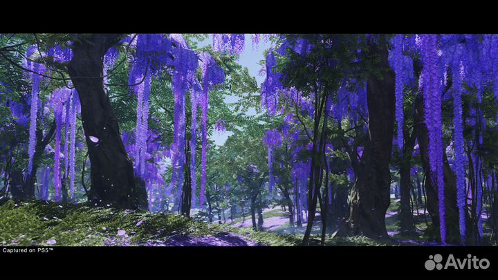 Диск Призрак Цусимы режиссерская PS5 / Новый