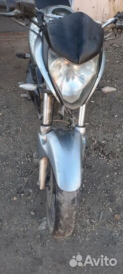 Stels flex 250