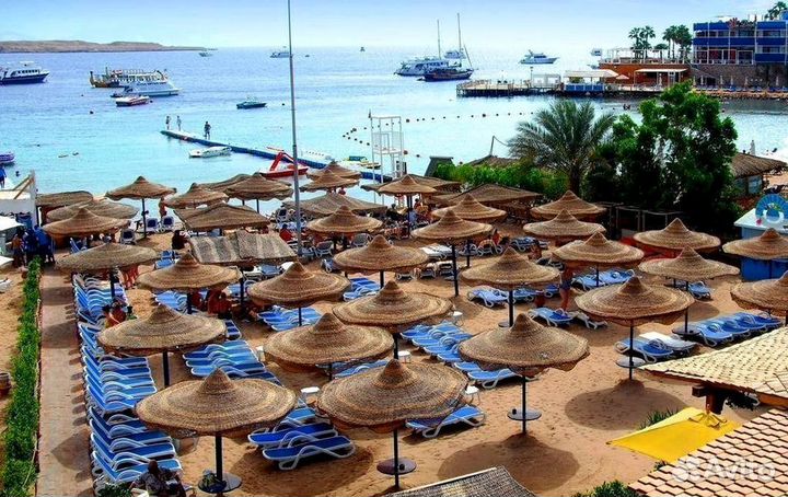 Горящие туры в Турцию / Египет / ОАЭ / Сочи