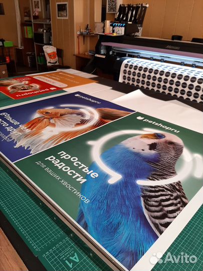 Типография. Интерьерная, широкоформатная печать