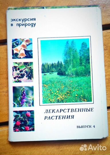 Набор 25 цветных открыток Экскурсия в природу 80гг