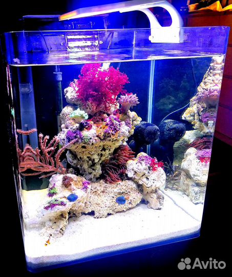 Морской Аквариум / Коралловый Риф