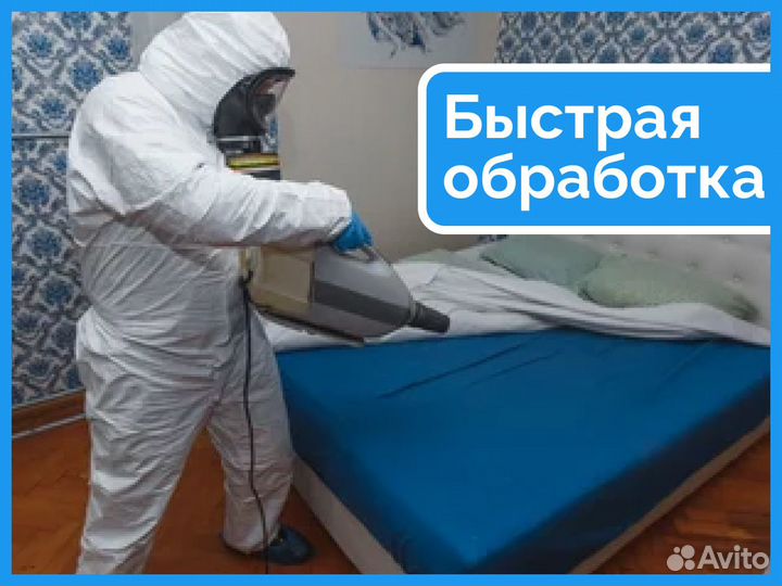 Дезинфекция. Уничтожение тараканов,клопов,грызунов