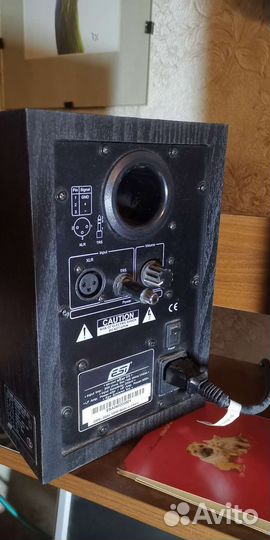 Колонки-мониторы ESI Near 05