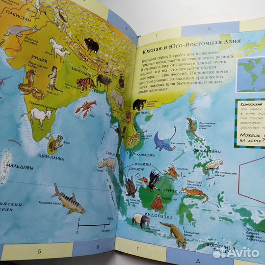 Атлас животных, космоса, динозавров