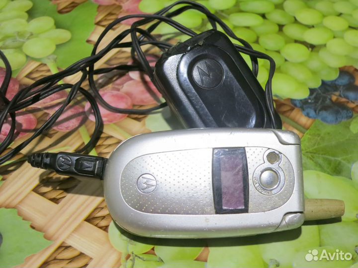 Motorola V500