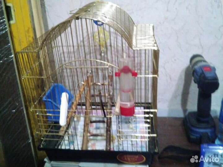 Волнистый попугай с клеткой,самка