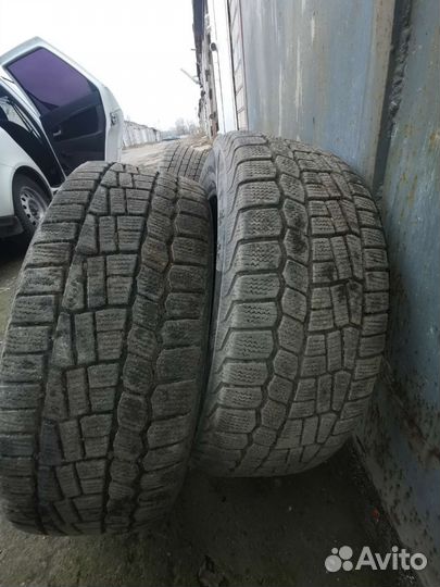 Dunlop Graspic DS3 195/55 R15