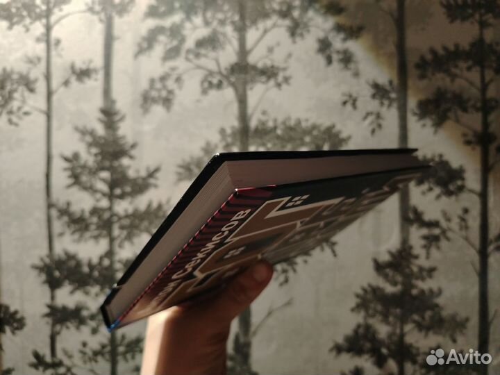 Антон Секисов. Бог тревоги