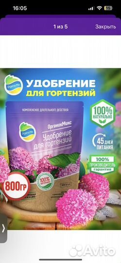 Удобрение доя гортензий, азалий