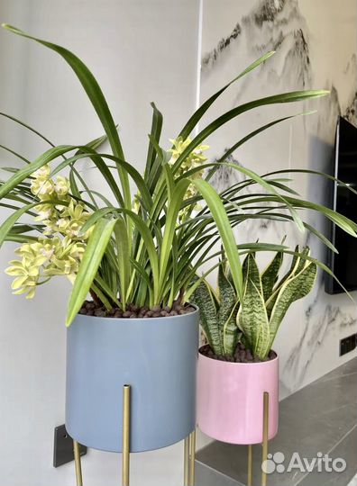 Кашпо горшок для цветов с подставкой