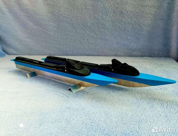 Коньки озёрные (байсы/нордики)