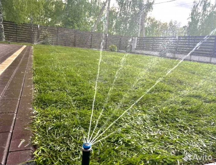Рулонный газон, газон посевной