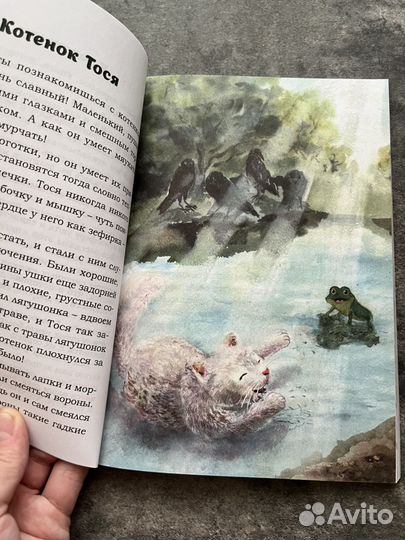 Книга для детей 