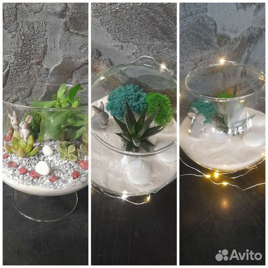 Флорариумы моссариумы