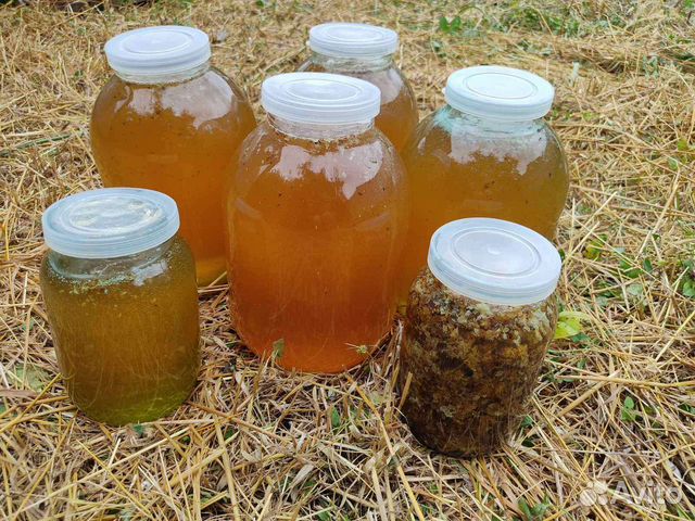 Медочек ммммм нямкаБонусы при покупке от 3х лтров