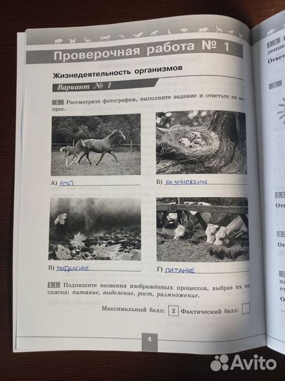 Биология Проверочные работы в формате ВПР 6 класс