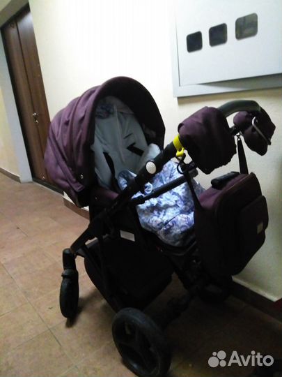 Коляска Adamex Luciano 2 в 1