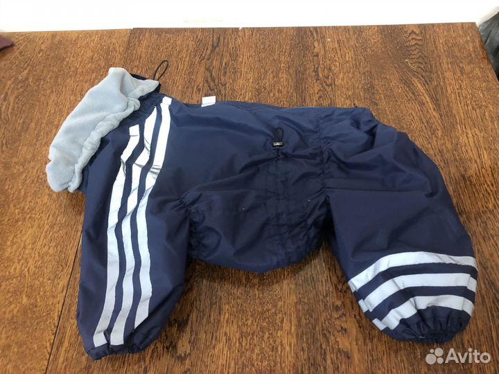 Шью одежду для собак