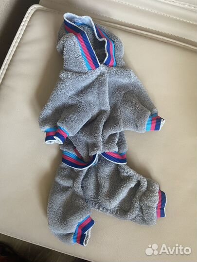 Одежда для собак