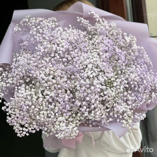 Букет из 15 нежно-фиолетовых гипсофил
