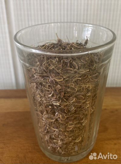 Семена укропа