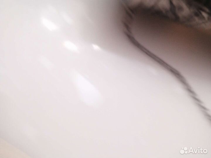 Рог серебро кость