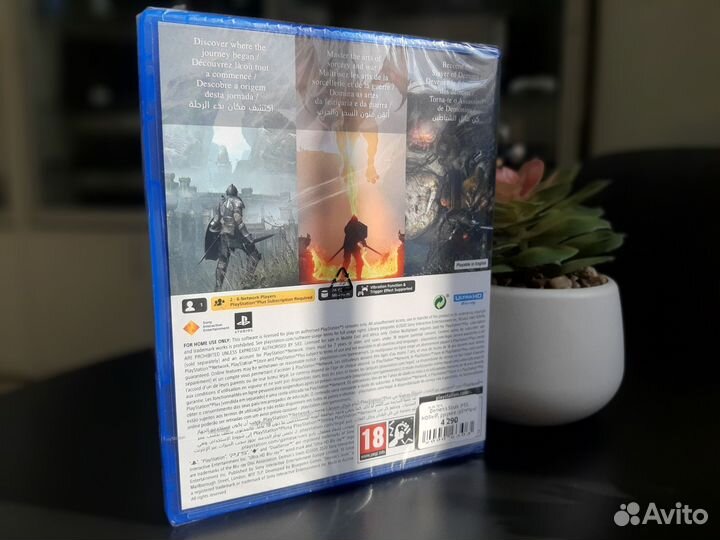 Demon'S Souls (PS5, новый)