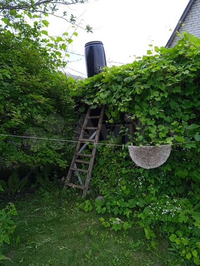 Дача 33,4 м² на участке 12 сот.