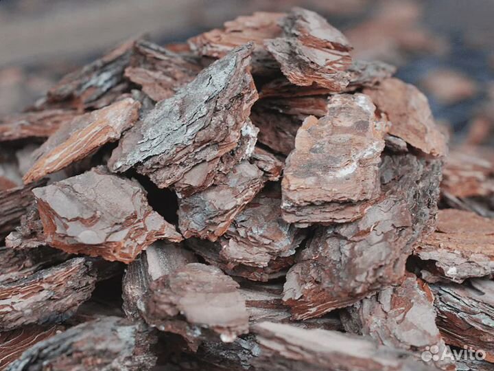 Кора сосны мульча, грунт для хвойных