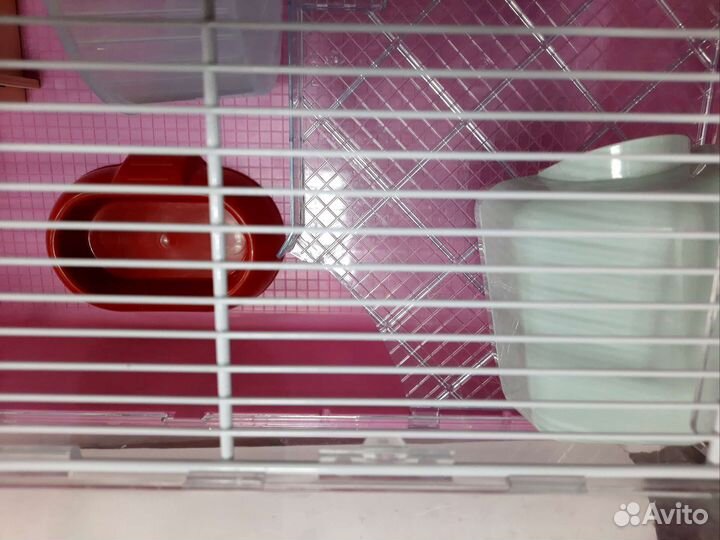 Клетка дюна для хомяка
