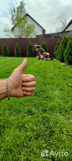 Рулонный Газон
