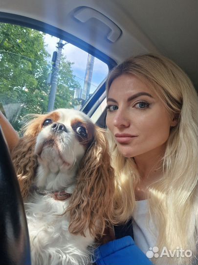 Зооняня, зоотакси, передержка животных