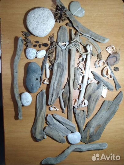 Коряги дрифтвуд