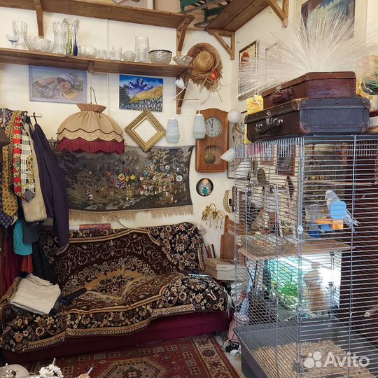 Готовый бизнес магазин винтажных вещей