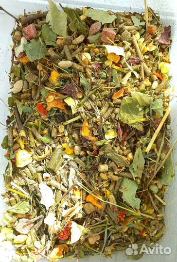 Корм для дегу/шиншилл/ для грызунов