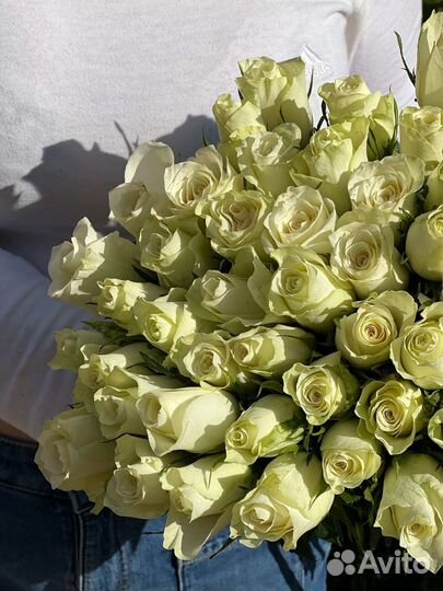 Букеты 21, 35, 51, 101 розы