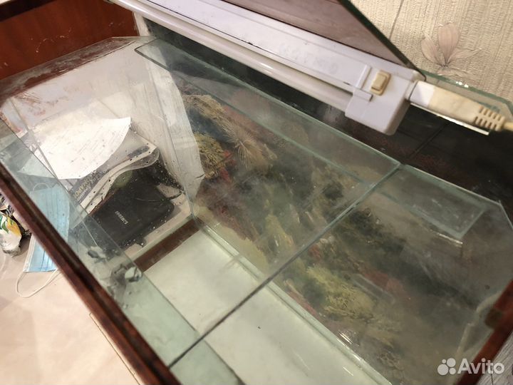 Аквариум 60 литров