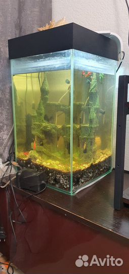 Аквариум
