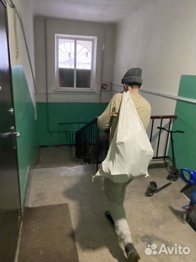 Грузчики/Разнорабочий/Подсобник