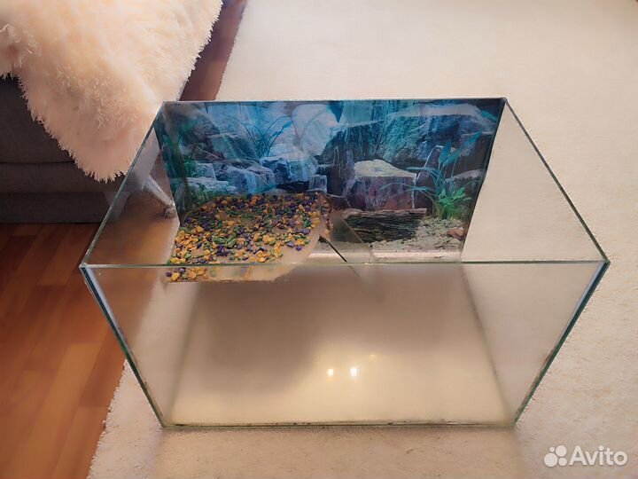Аквариум