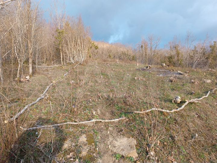 Участок 6,1 сот. (ИЖС)