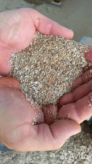 Ракушка кормовая