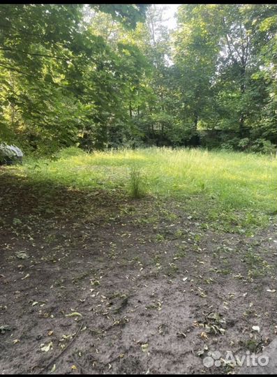 Зоогостиница для собак