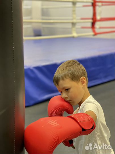 Тренер по единоборствам и физической подготовке