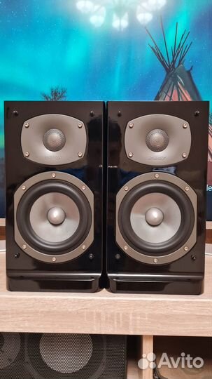 Полочные колонки energy С-100B