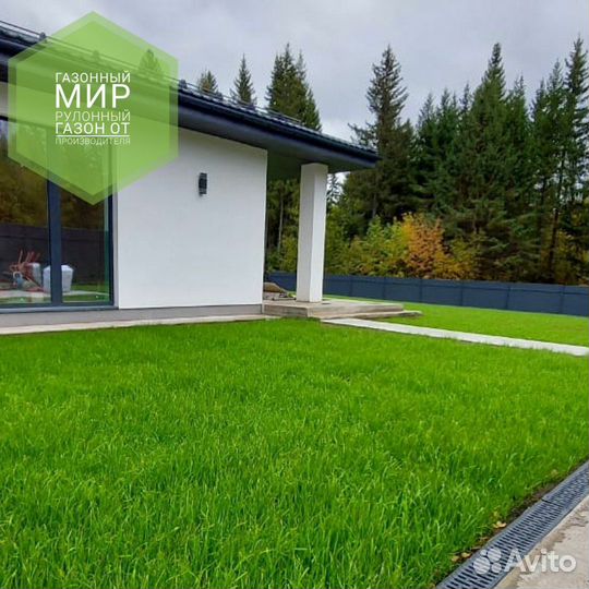Рулонный газон