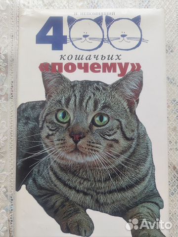 400 кошачьих почему Н.Непомнящий