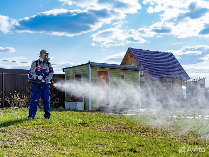 Уничтожение клопов, тараканов, крыс, дезинфекция