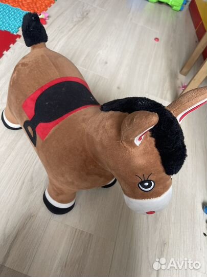 Прыгун (попрыгун) ослик